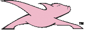 Walrus Internet Flying Pig